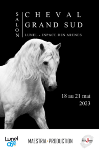 Salon du cheval