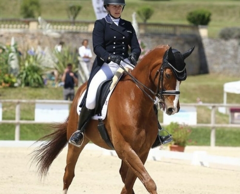 Concours dressage