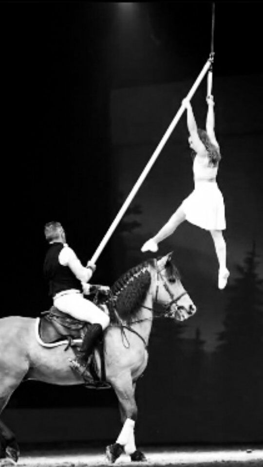 🐎 LA CAVALERIE ENCHANTÉE - 7e ÉDITION 🐎

Pour la septième année consécutive, La Cavalerie enchantée viendra illuminer nos arènes 🐴

🎥 L'occasion de découvrir Laurent Douziech, qui nous parle du spectacle de sa troupe

➡️ Au programme de cette 7e édition : 30 chevaux avec 20 artistes équestres de renommée internationale :
- La compagnie Christophe & Max Hasta Luego 
- La troupe de Laurent Douziech
- Manon & Julien Perrin 
- Max & Corinne Vendrell

📆 Rendez-vous le samedi 14 juin à 21H

🎫 BILLETTERIE ⬇️
https://www.arenesdelunel.fr/2025-06-14-la-cavalerie-enchantee-samedi-14-juin-2025-21h00/

☎️ 0631131901

🏟️ Aux guichets, tous les jours de 10h à 13h

#cavalerie #cavalerieenchantée #lunel #arenesdelunel #hastaluego #douziech