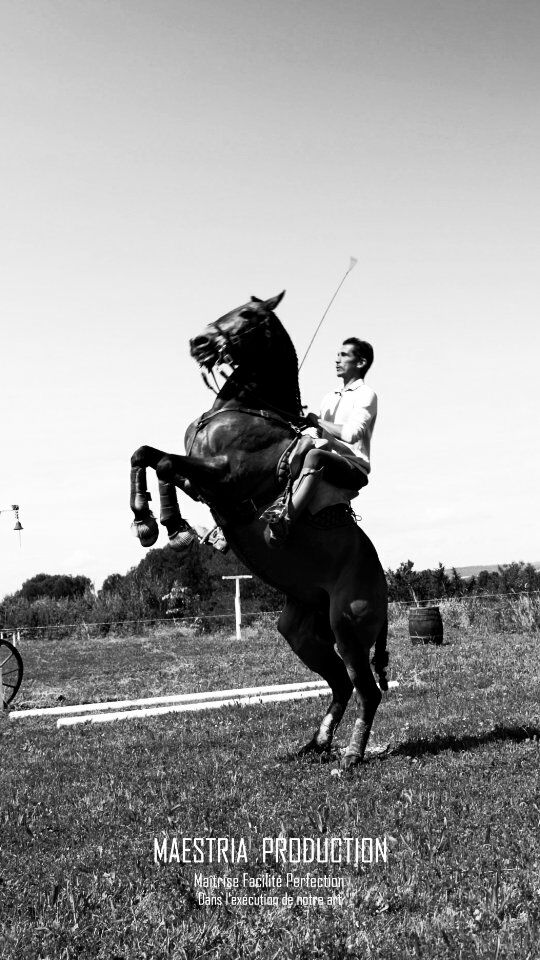 🐎 LA CAVALERIE ENCHANTÉE - 7e ÉDITION 🐎

Pour la septième année consécutive, La Cavalerie enchantée viendra illuminer nos arènes 🐴

🎥 L'occasion de découvrir l'alliance entre Manon et Julien Perrin & Max et Corinne Vendrell. 

➡️ Au programme de cette 7e édition : 30 chevaux avec 20 artistes équestres de renommée internationale :
- La compagnie Christophe & Max Hasta Luego 
- La troupe de Laurent Douziech
- Manon & Julien Perrin 
- Max & Corinne Vendrell

📆 Rendez-vous le samedi 14 juin à 21H

🎫 BILLETTERIE ⬇️
https://www.arenesdelunel.fr/2025-06-14-la-cavalerie-enchantee-samedi-14-juin-2025-21h00/

☎️ 0631131901

🏟️ Aux guichets, tous les jours de 10h à 13h

#cavalerie #cavalerieenchantée #lunel #arenesdelunel #hastaluego #douziech