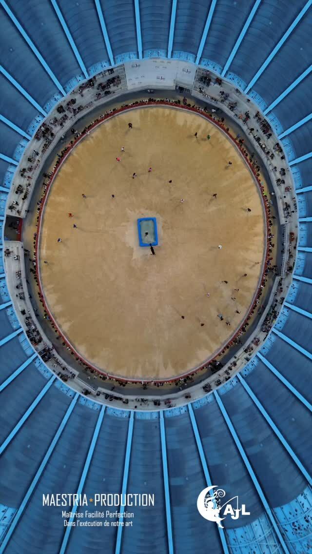 🐂 TOROS PISCINE 💧

Comme tous les mardis de l'été, retrouvez-nous aux arènes pour un toro piscine endiablé ! 

Rendez-vous à 21H pour des défis, des plongeons et de la bonne humeur toute la soirée !

#lunel #arenesdelunel #taureaux #piscine