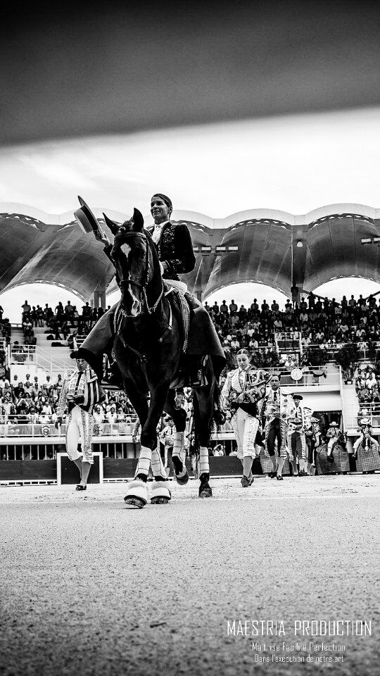 💥 CORRIDA EXTRAORDINARIA 💥 

🎥 Revivez en images ce grand moment de tauromachie vécu dans nos arènes, avec les sorties en triomphe de Léa Vicens, Olga Casado et Sébastien Castella !

🐂 Vivement la prochaine, non ? 😍

#toros #corrida #lunel #castella #casado #vicens #arenesdelunel