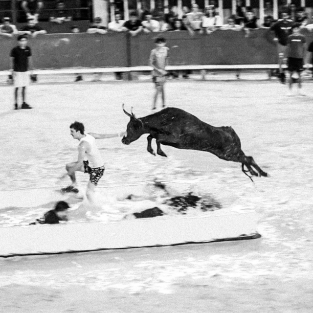 💥 TOROS PISCINE 💥

🕘 Rendez-vous à 21H pour un nouveau toro piscine complètement fou ! 
Ouverture des portes à 20h et guichet ouvert des 19H.

🔥 Malgré la fin de la Pescalune, l'été continu dans nos arènes : tous les mardis, venez rire, plonger, courir avec les vachettes, ou simplement encourager lors de nos toros piscine 💧

➡️ On se voit ce soir aux Arènes ?

#lunel #arenesdelunel #taureaux #toropiscine