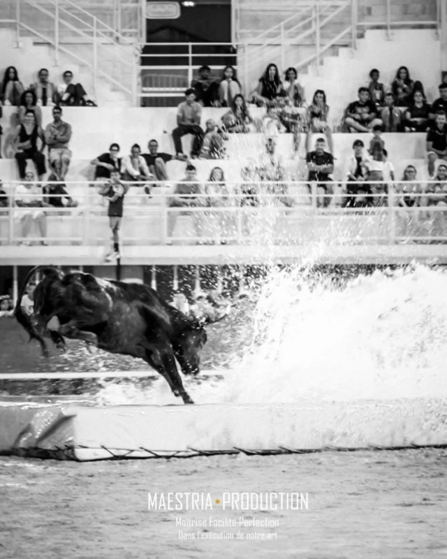 💥 TOROS PISCINE 💥

🕘 Rendez-vous ce mardi à 21H pour un nouveau toro piscine complètement fou ! 
Ouverture des portes à 20h et guichet ouvert des 19H.

🔥 Tous les mardis de l'été, venez rire, plonger, courir avec les vachettes, ou simplement encourager lors de nos toros piscine 💧

➡️ On se voit demain aux Arènes ?

#lunel #arenesdelunel #taureaux #toropiscine